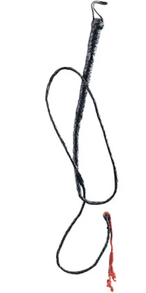 Long Whip